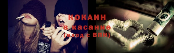прущие грибы Алексин