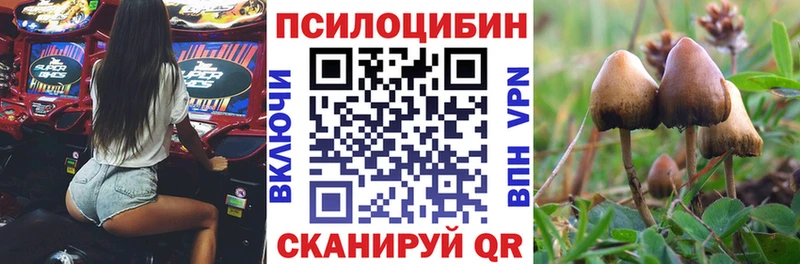Псилоцибиновые грибы прущие грибы  Черемхово 